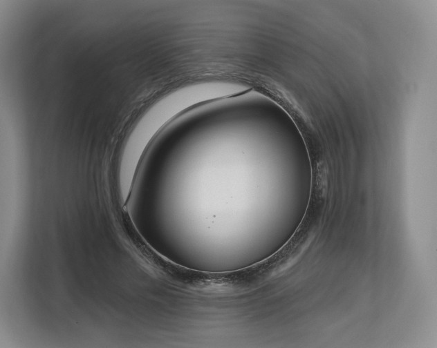 X0000112720589200908271409