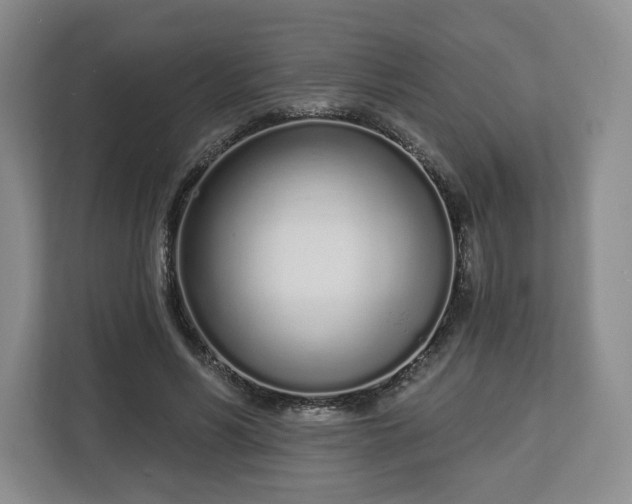 X0000112720590200908271409