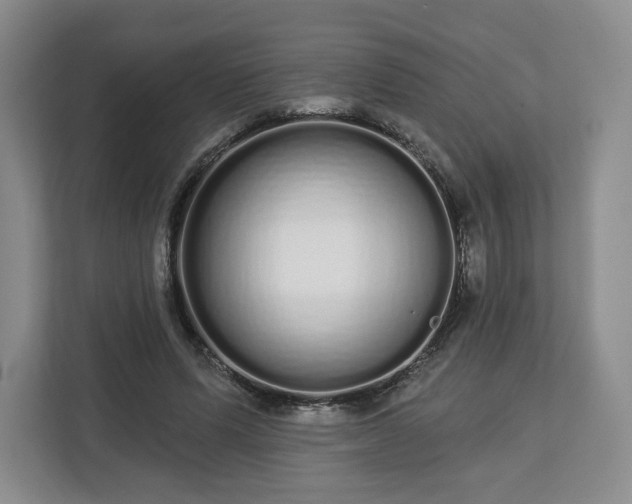 X0000112720591200908271409