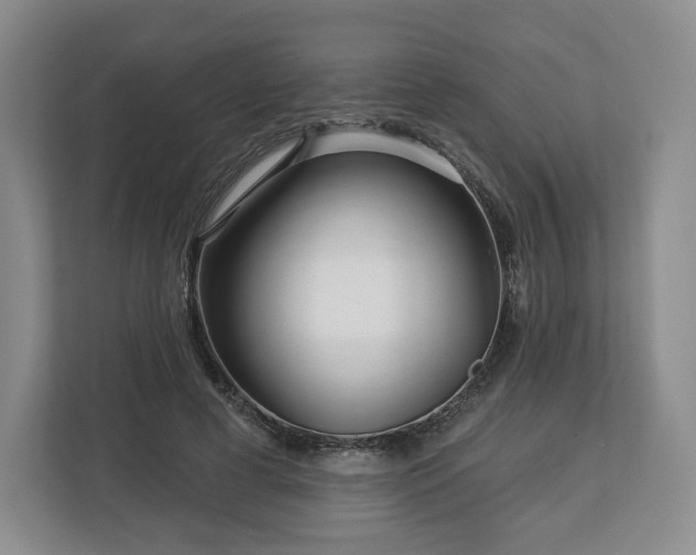 X0000112720593200908271409