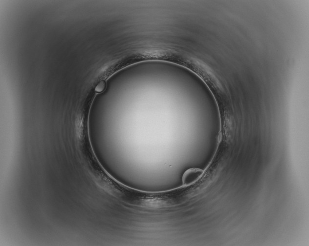 X0000112720596200908271409