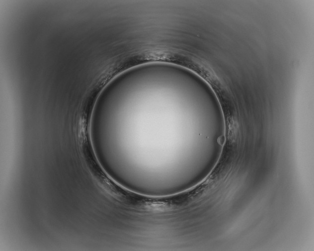 X0000112720598200908271409