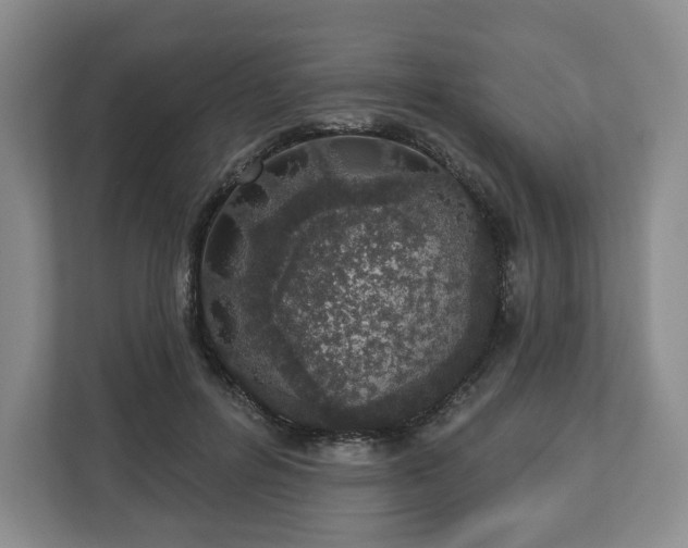 X0000112720600200908271409