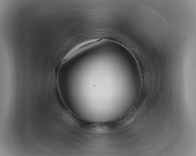 X0000112720601200908271409