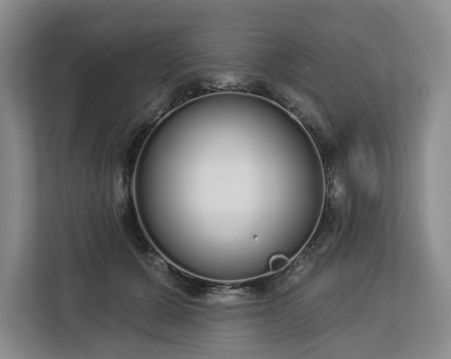 X0000112720607200908271409