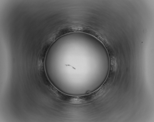 X0000112720614200908271409