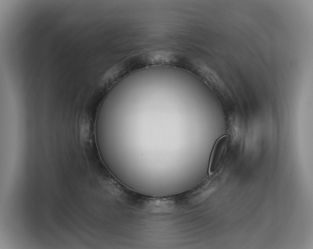 X0000112720619200908271409