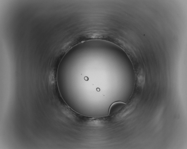 X0000112720620200908271409