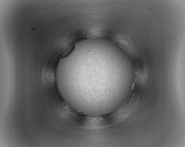 X0000112720621200908271409