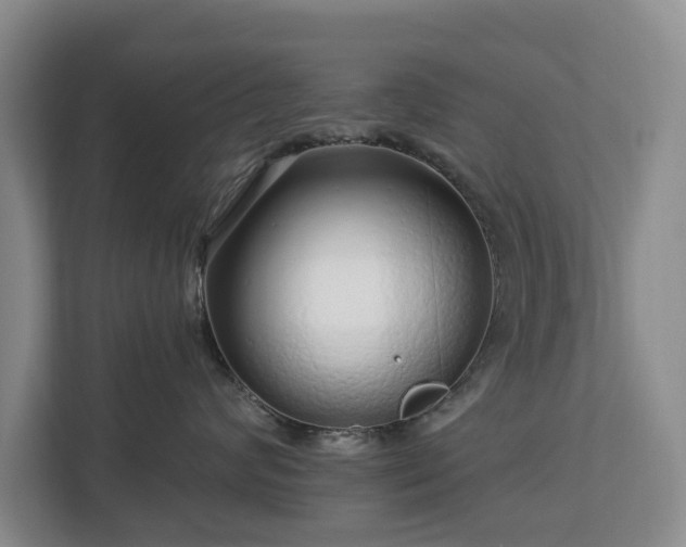 X0000112720624200908271409