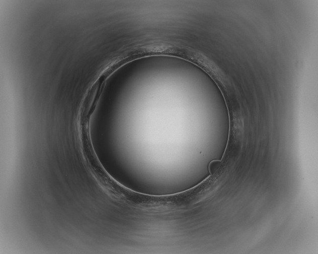 X0000112720626200908271408