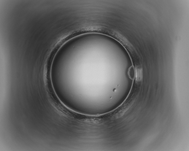 X0000112720627200908271408