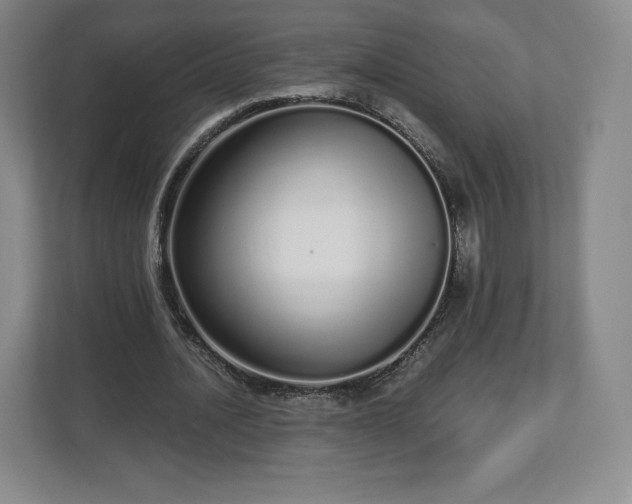 X0000112720628200908271408