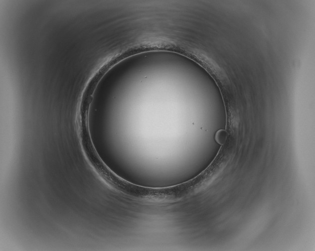 X0000112720630200908271408