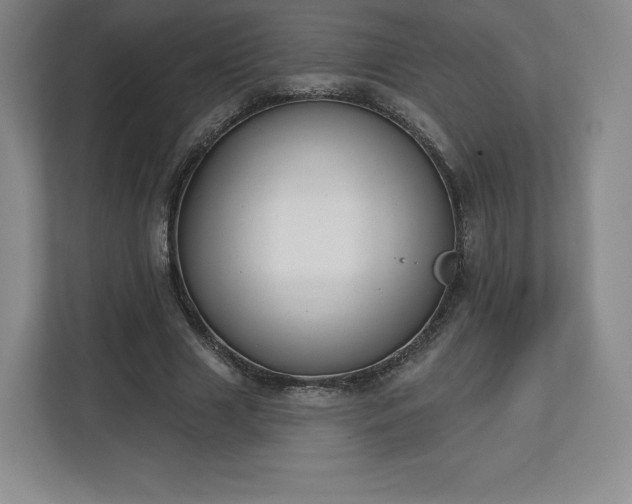 X0000112720633200908271408