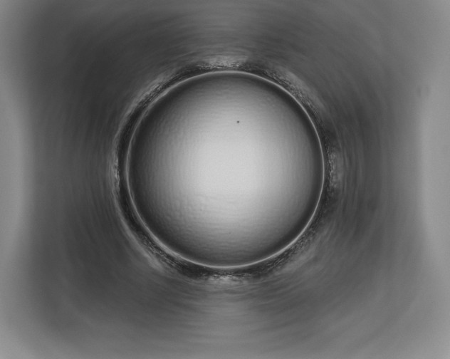 X0000112720634200908271408