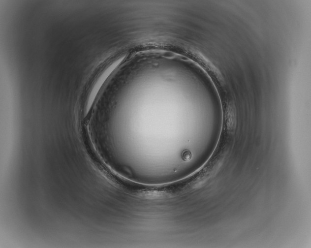 X0000112720637200908271408