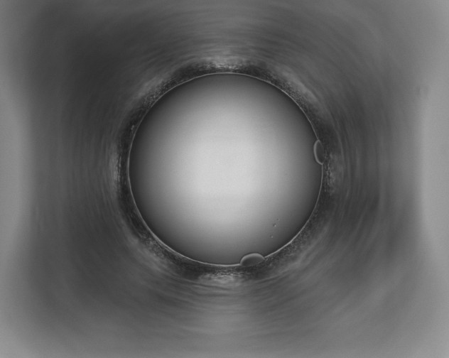 X0000112720639200908271408