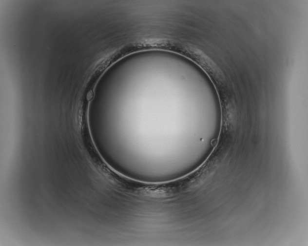 X0000112720640200908271408