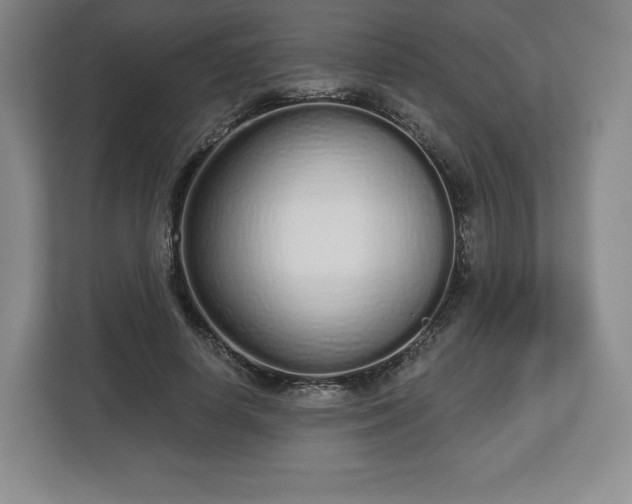 X0000112720642200908271408