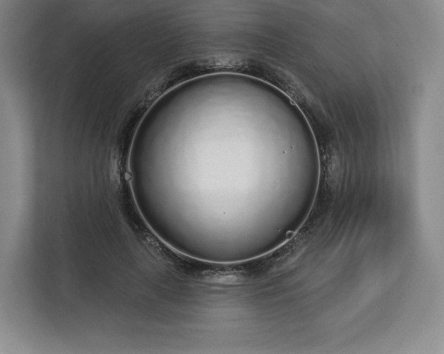 X0000112720643200908271408