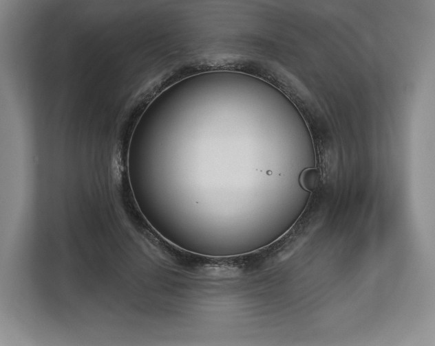 X0000112720644200908271408