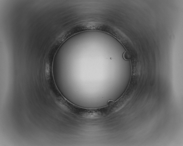 X0000112720646200908271408