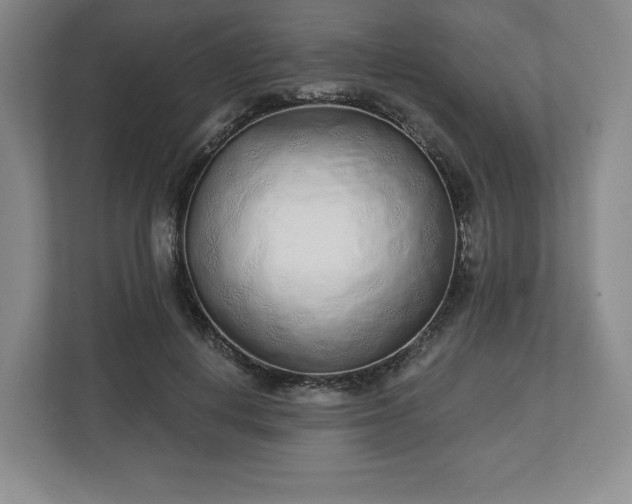 X0000112720648200908271408