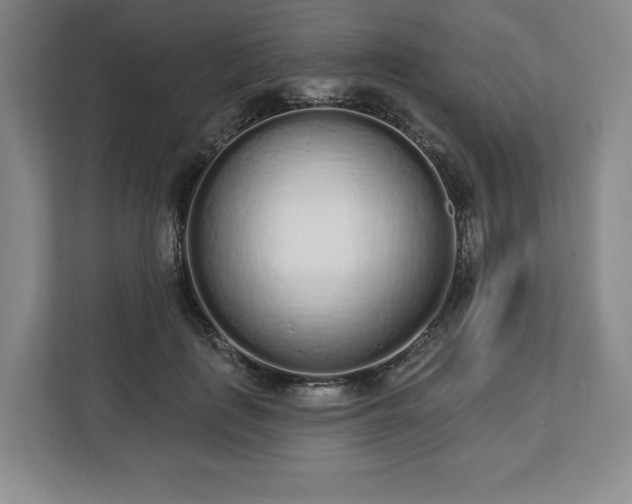 X0000112720651200908271408