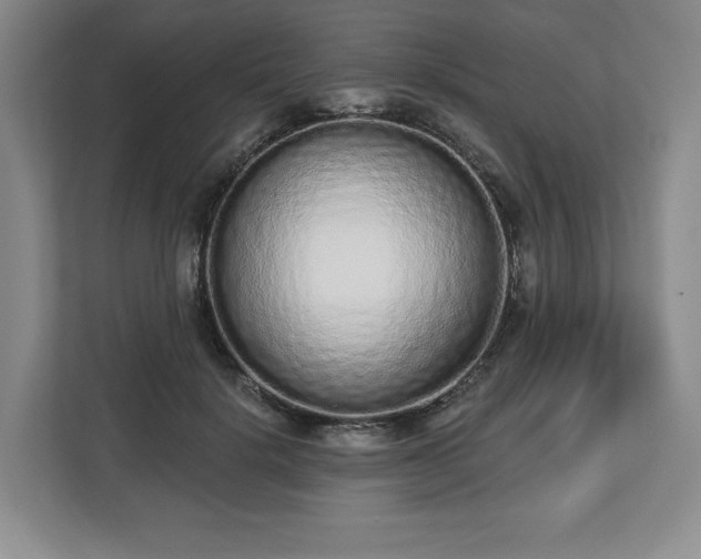 X0000112720652200908271408