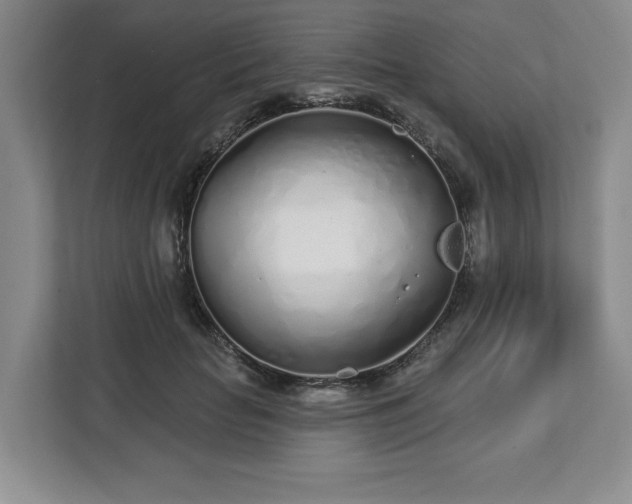 X0000112720653200908271409