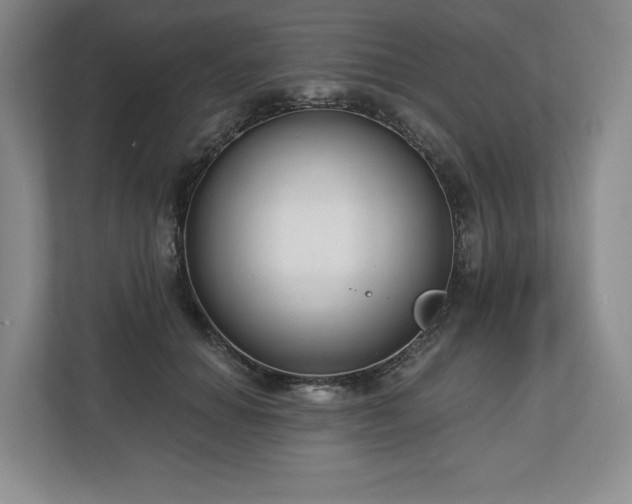 X0000112720654200908271409