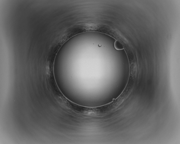 X0000112720655200908271409