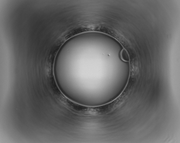 X0000112720656200908271409