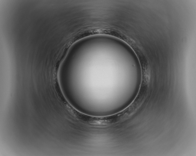 X0000112720657200908271409