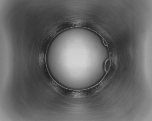 X0000112720660200908271409