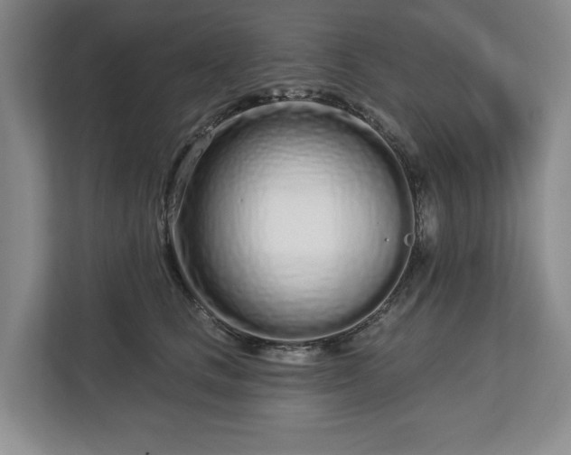 X0000112720661200908271409