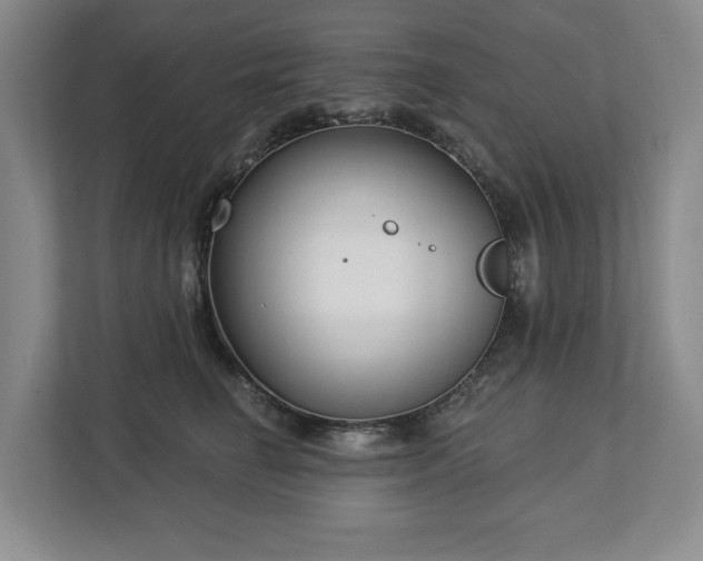 X0000112720662200908271409