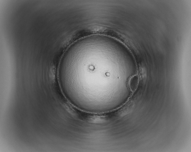 X0000112720664200908271409