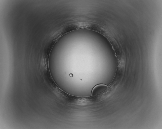 X0000112720666200908271409