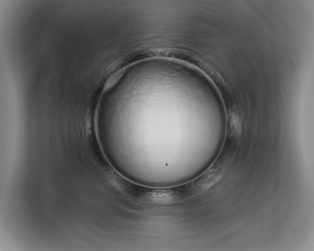 X0000112720668200908271409