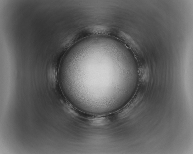 X0000112720669200908271409