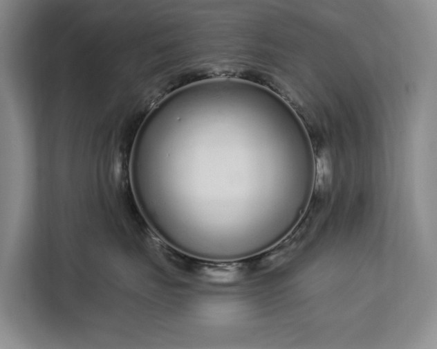 X0000112720671200908271409