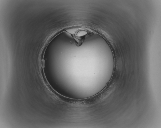 X0000112720673200908271408