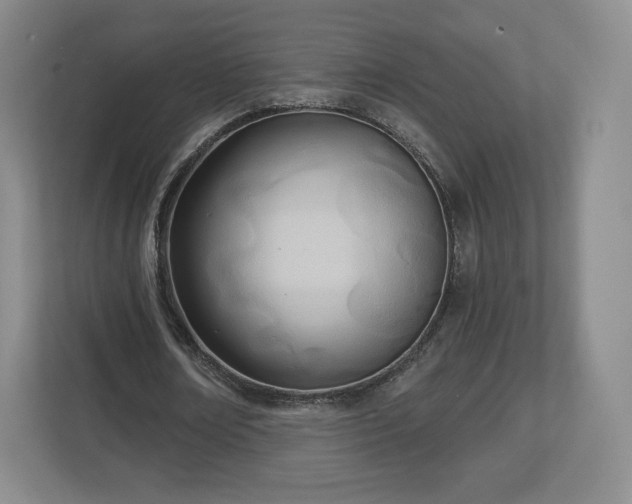 X0000112720674200908271408