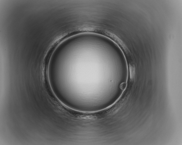 X0000112720675200908271408