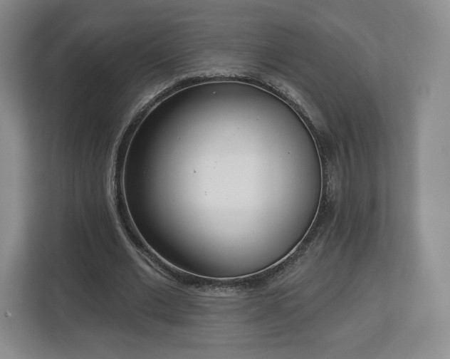 X0000112720677200908271408