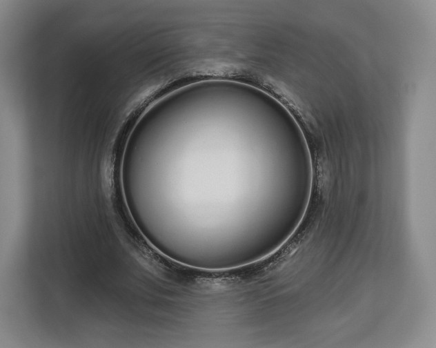 X0000112720679200908271408