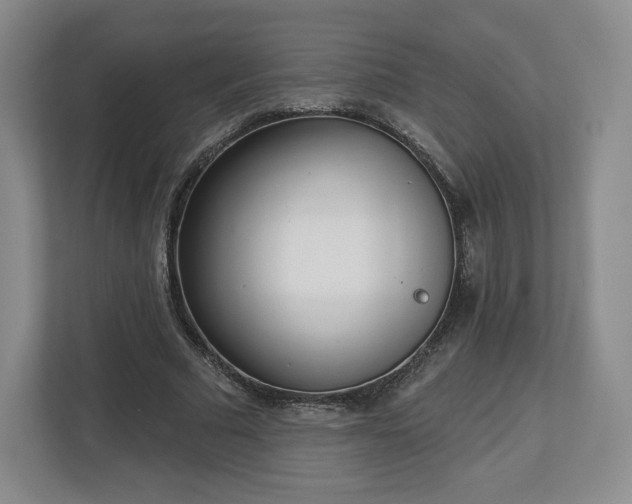 X0000112720681200908271408