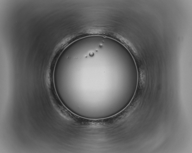 X0000112720682200908271408